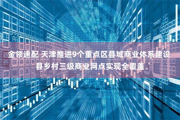 金领速配 天津推进9个重点区县域商业体系建设 县乡村三级商业网点实现全覆盖
