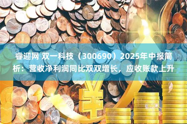 睿迎网 双一科技（300690）2025年中报简析：营收净利润同比双双增长，应收账款上升