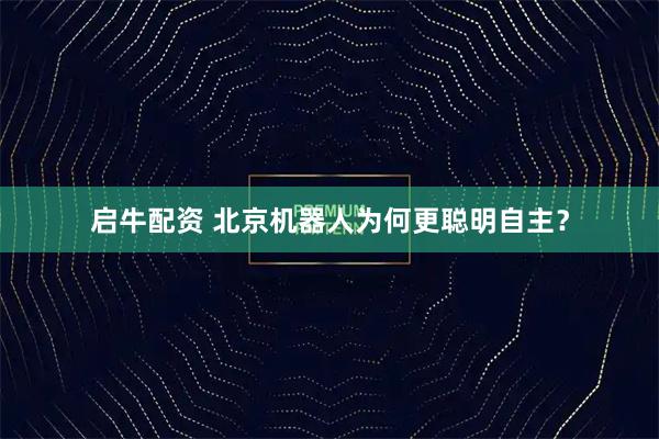 启牛配资 北京机器人为何更聪明自主？
