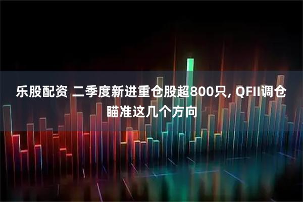 乐股配资 二季度新进重仓股超800只, QFII调仓瞄准这几个方向