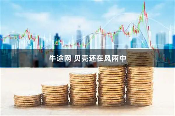牛途网 贝壳还在风雨中