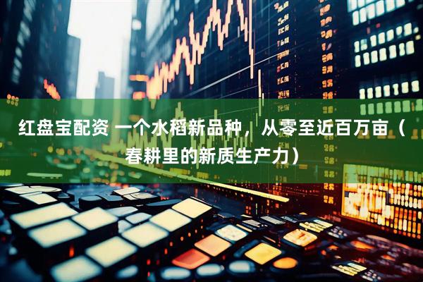红盘宝配资 一个水稻新品种，从零至近百万亩（春耕里的新质生产力）